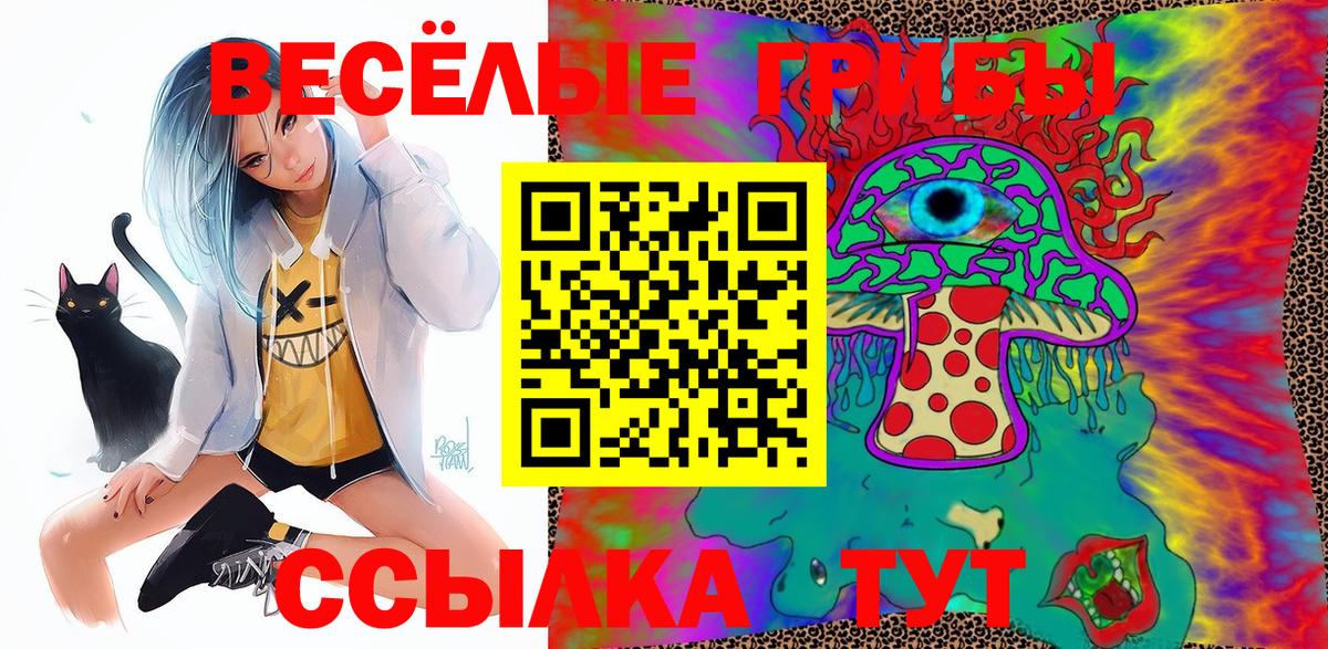 Псилоцибиновые грибы GOLDEN TEACHER  Вход с VPN  Саки 