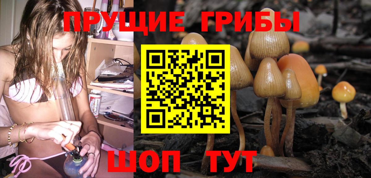 ГАШ Саки